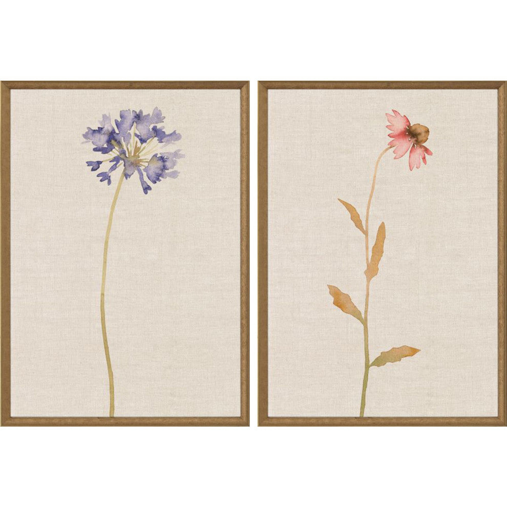 Wild Flourish I S/2