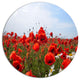 Red Poppies Under Bright Blue Sky, Flower Round Wall Art, 11"