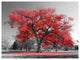 Big Red Tree on Foggy Day, Landscape Canvas Art Print, 40"x30"