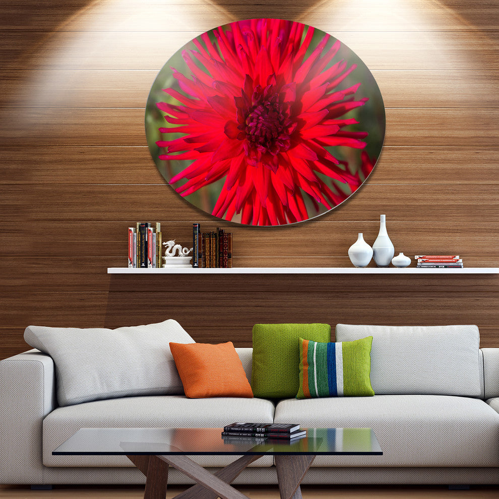 Beautiful Dahlia Flower On Green, Flowers Round Metal Wall Art, 38"
