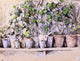 Paul Cezanne Flowerpots, 21"x28" Wall Decal Print