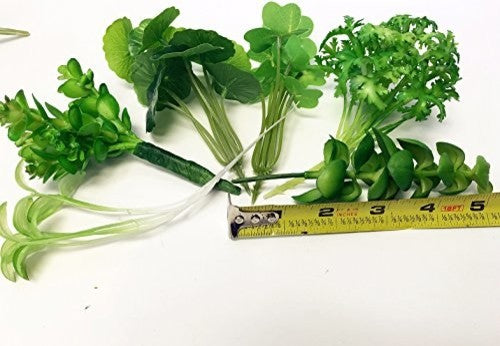 20 Long Large Stems