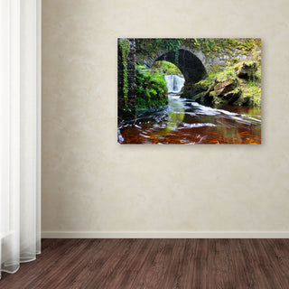 'Lush River' Canvas Art by Pierre Leclerc