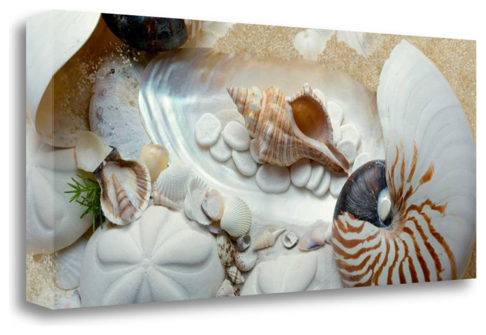 "Island Tide Pool No. 1" By Alan Blaustein, Giclee Print on Gallery Wrap Canvas