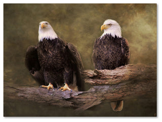 Jai Johnson 'Mates Bald Eagle Pair' Canvas Art, 24 x 18