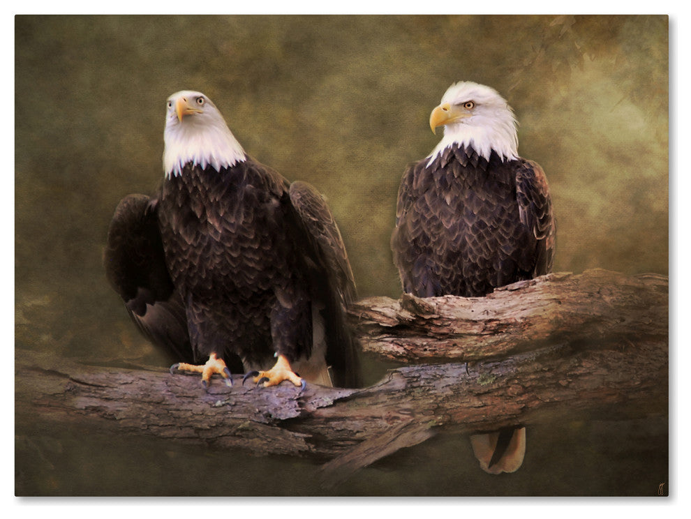Jai Johnson 'Mates Bald Eagle Pair' Canvas Art, 24 x 18