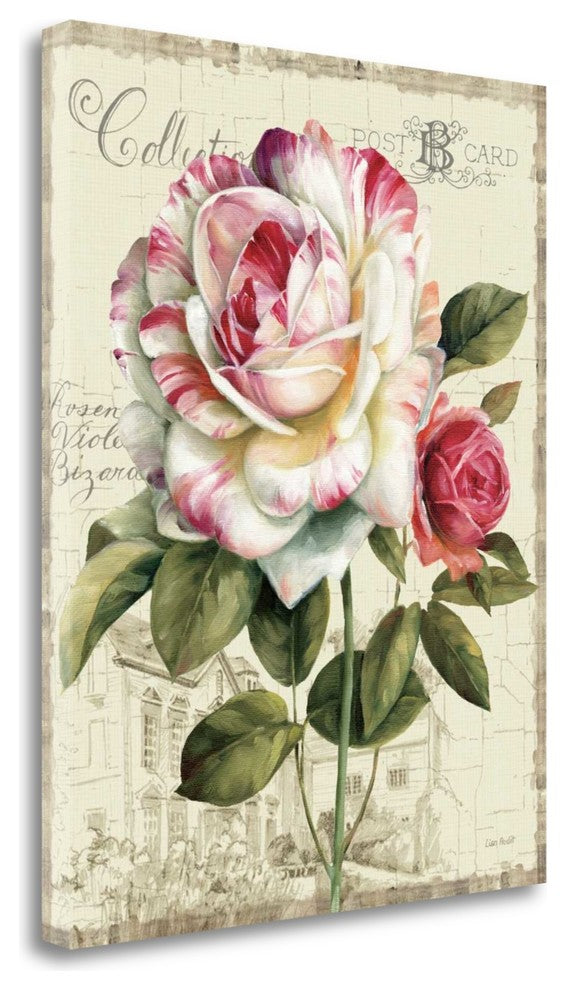 "Garden VIew III - Rose" By Lisa Audit, Giclee Print on Gallery Wrap Canvas