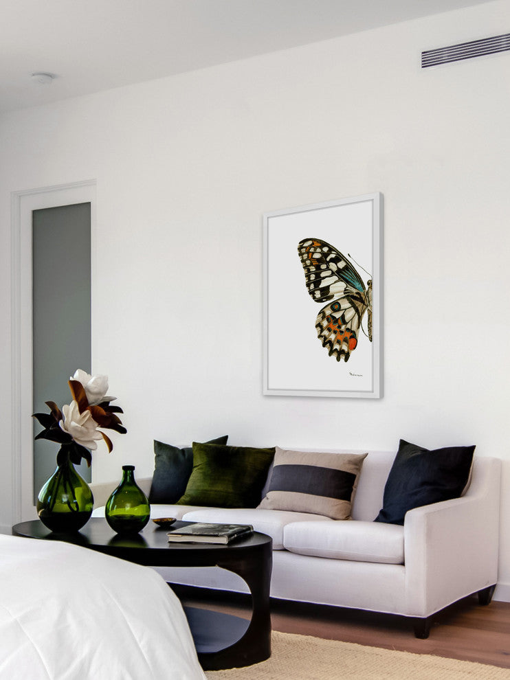 "Papilio Demoleus Lime Swallowtail" Framed Painting Print, 12"x18"