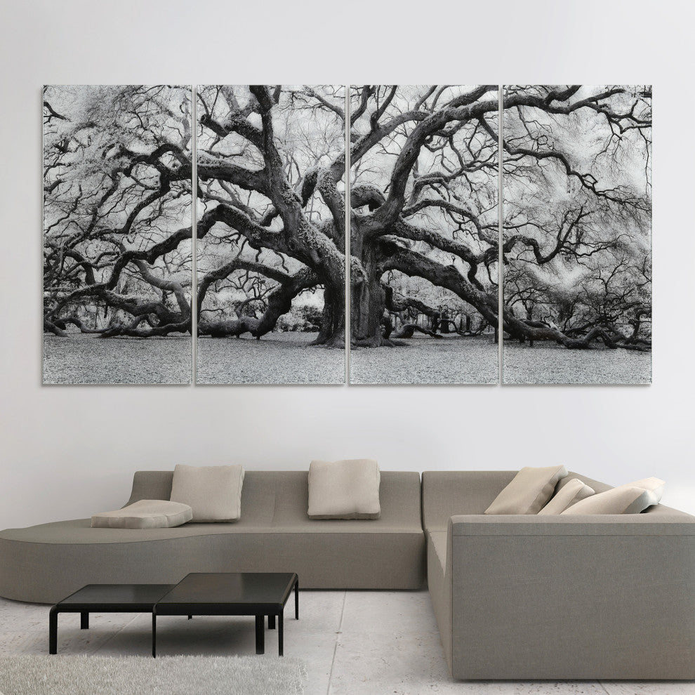 "The Angel Oak ABCD" Frameless Tempered Glass Panel Graphic Wall Art Set