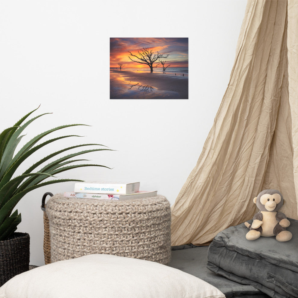 Sunrise and Trees At Edisto Island Coastal Landscape Photo Loose Wall Art Print, 11" X 14"