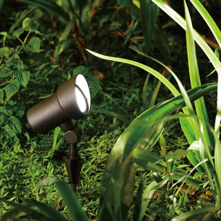 Low-Voltage Aluminum Black Outdoor Landscape Path Flood Light LED Clear Glass