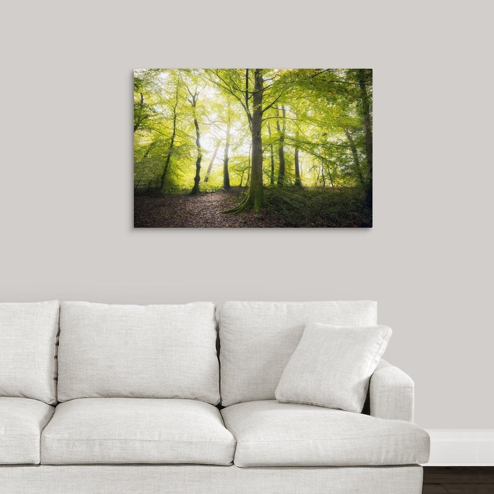 "Natural Light" Wrapped Canvas Art Print, 36"x24"x1.5"