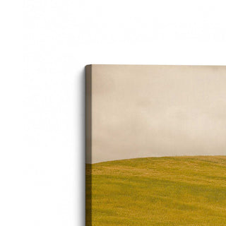 "Tuscan Fields' Charm" - A Touch of Italian Rusticity for Elegant Interiors