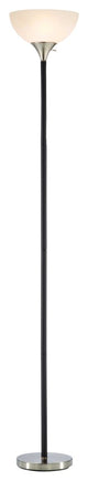 Adesso Gander Floor Lamp