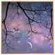 Deny Designs Shannon Clark Twinkle Twinkle Framed Wall Art, 30x30x1