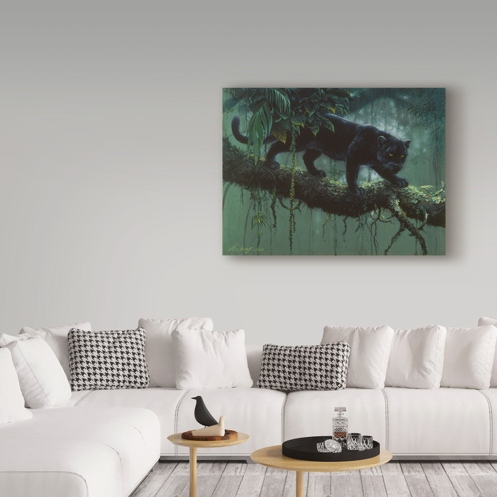 Harro Maass 'Black Jaguar Stalking' Canvas Art, 47"x35"