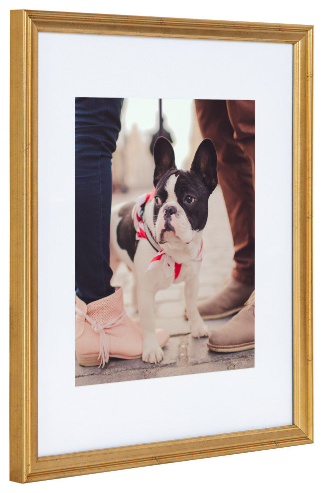 Adlynn Photo Frame Set, Gold, 11x14 Matted to 8x10
