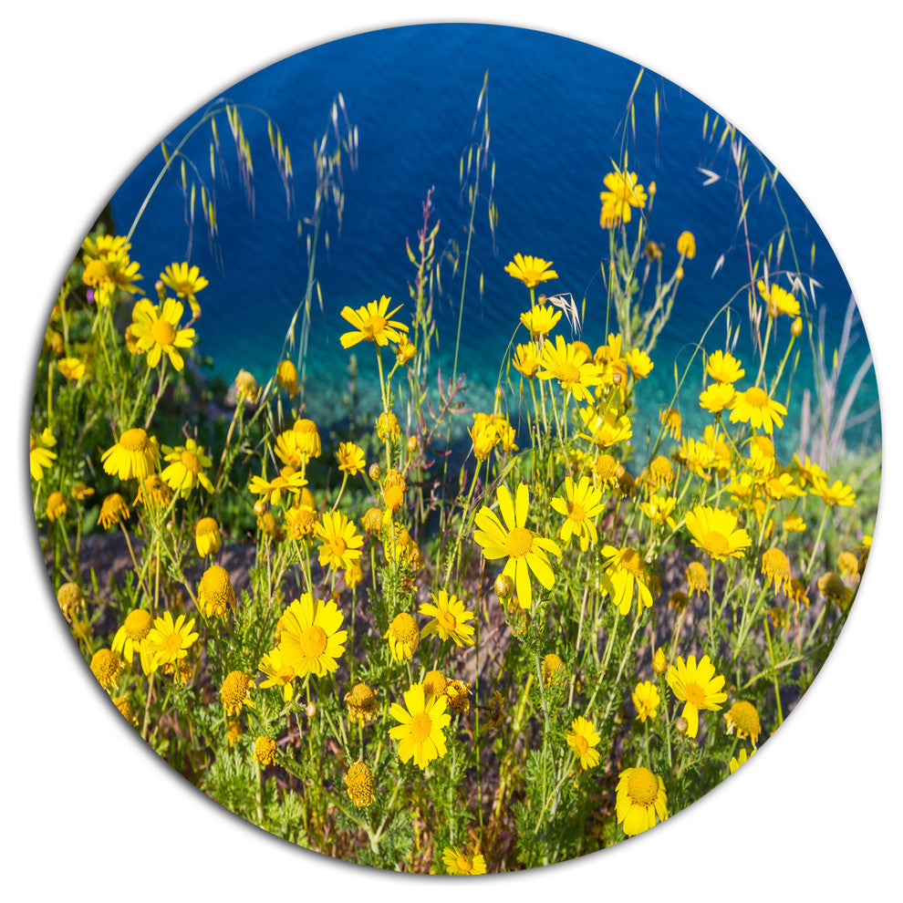 Wild Yellow Flowers Over Sea Coast, Flower Round Wall Art, 11"