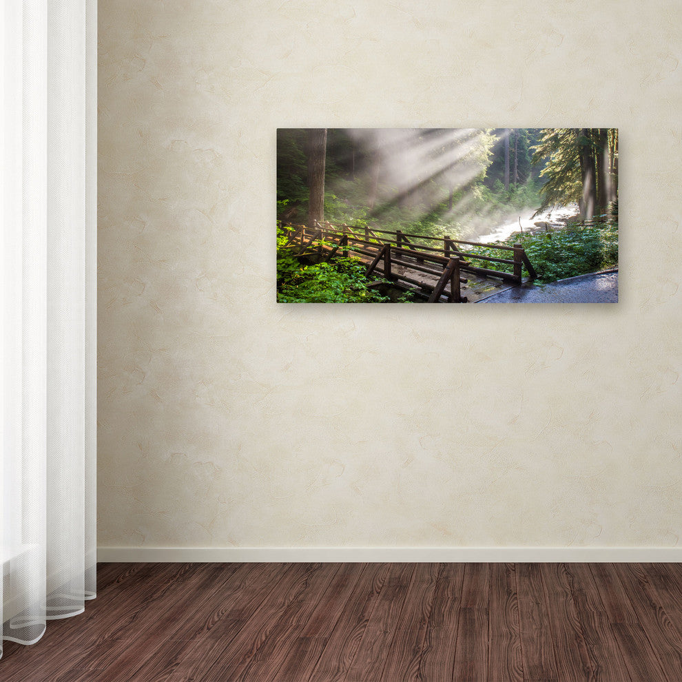 'Forest Sunlight' Canvas Art by Pierre Leclerc