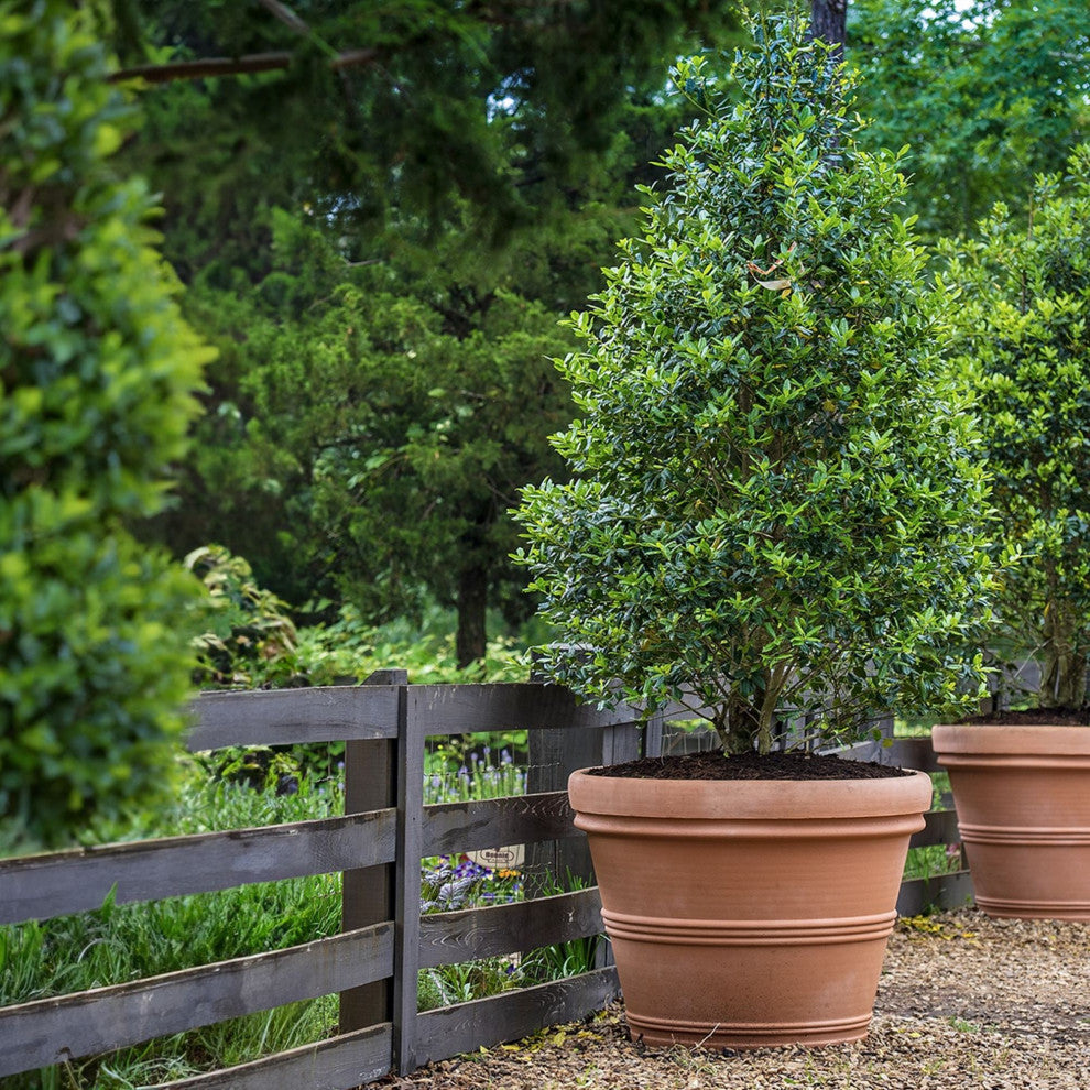 Brunello Planter, Weathered Terracotta, 35"