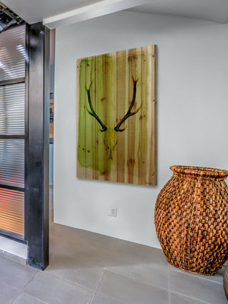 "Horn" Print on Natural Pine Wood, 40"x60"