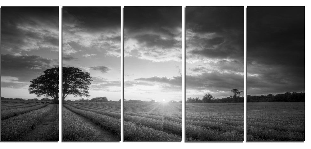 Vibrant Black White Lavender Field, Landscape Canvas Art, 60"x28", 5 Panels
