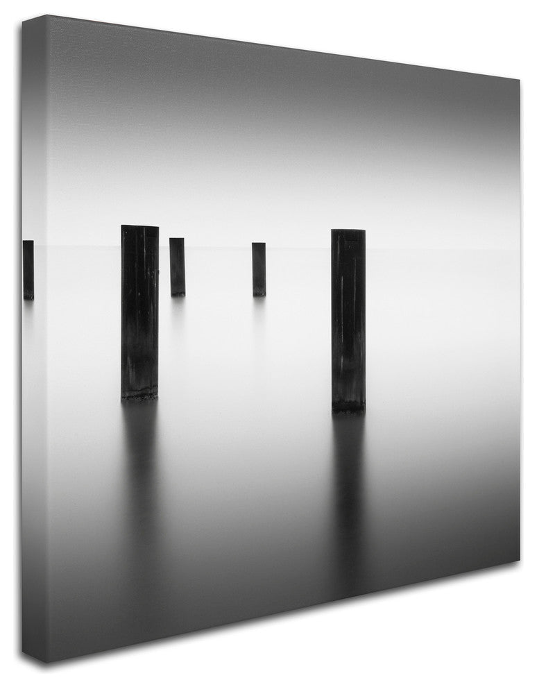 'Lucid' Canvas Art by Dave MacVicar