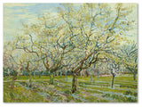 Van Gogh 'The White Orchard' Canvas Art, 19 x 14