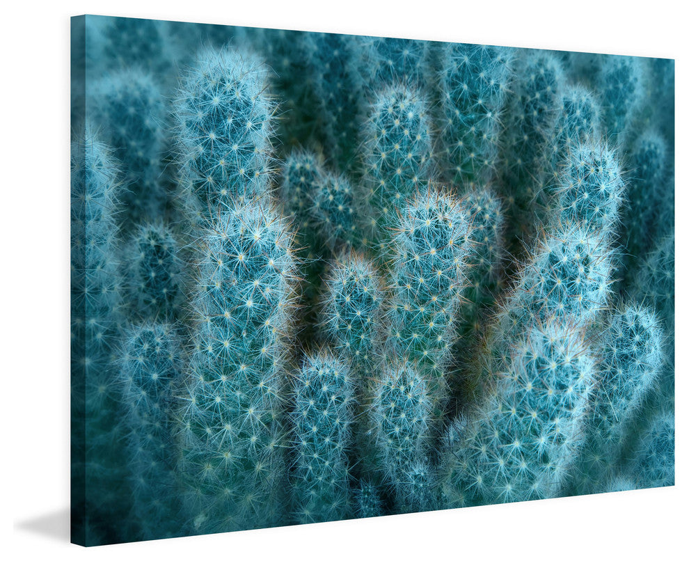 "Soft Blue Cacti" Painting Print on Canvas