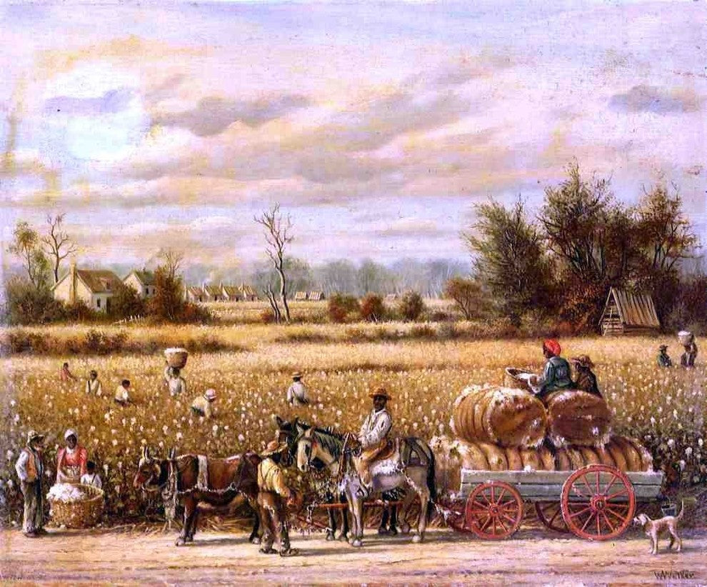 William Aiken Walker Picking Cotton, 20"x25" Gallery Wrapped Canvas Print