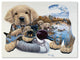Jenny Newland 'Sweet Puppy Tales' Canvas Art, 32x24