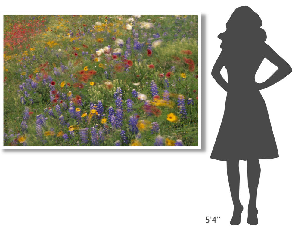 "Wildflowers blowing in the wind, Hill Country, Texas" Paper Art, 62"x42"