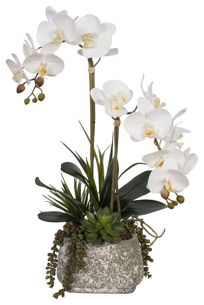 Real Touch Phalaenopsis Orchids With Succulents, Concrete Pot
