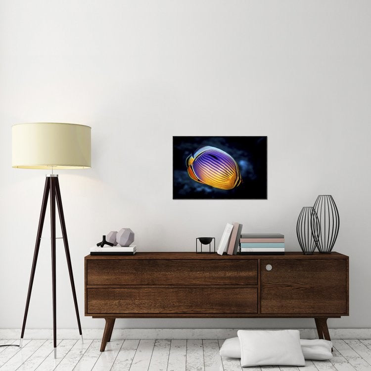 "Butterflyfish" Framed Canvas Giclee by Barathieu Gabriel, 31x21"