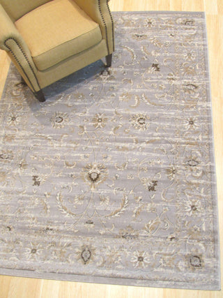 Gray Distressed Bohemian Isabella Rug, 4' 3 X 5'10