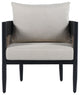 Safavieh Harrison Indoor-Outdoor Chair, Set of 2, Black/Taupe
