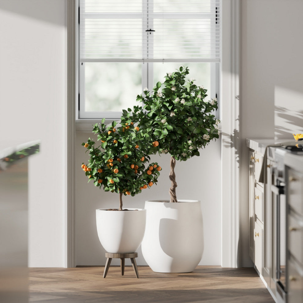 DTY Signature Mount Belford 1-piece Fiberstone Planter, White, Small