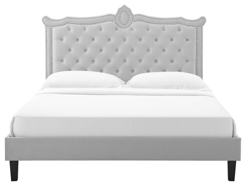 Platform Bed Frame, Nailhead, Queen Size, Gray, Velvet, Modern