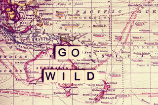 "Go Wild" Print on Canvas by Sylvia Cook