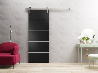 Sturdy Barn Door 42 x 96 | Planum 0210 Matte Black with  | 8FT