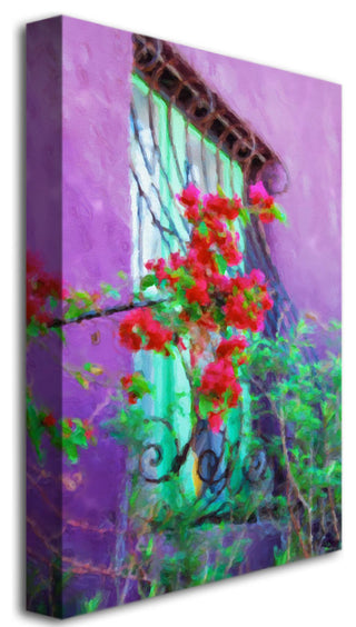 'Decorative Window' Canvas Art by Lois Bryan