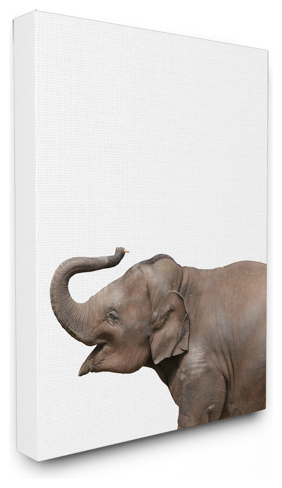 Baby Elephant Studio Photo, Canvas, 16"x20"