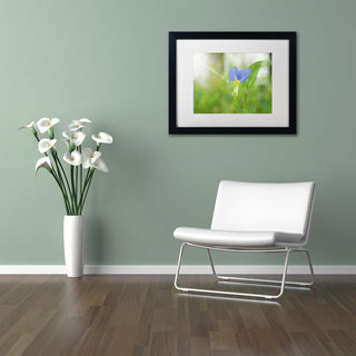 PIPA Fine Art 'Asiatic Dayflower' Matted Framed Art, 20x16