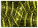 "Bright Yellow Fractal Flower Grid" Metal Wall Art, 3 Panels, 36"x28"