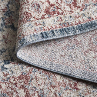 Safavieh Antique Patina ANP640 Rug, Blue/Rust, 9'x11'6"