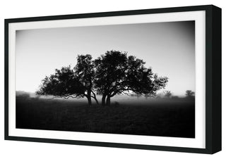 Foggy Morning Fine Art Print, Black, 20"x30"