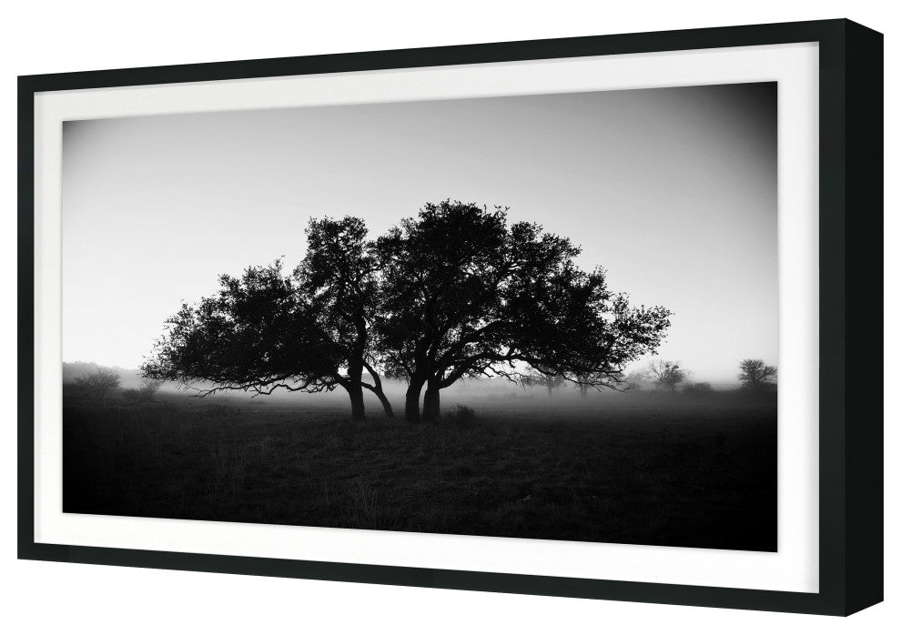 Foggy Morning Fine Art Print, Black, 20"x30"