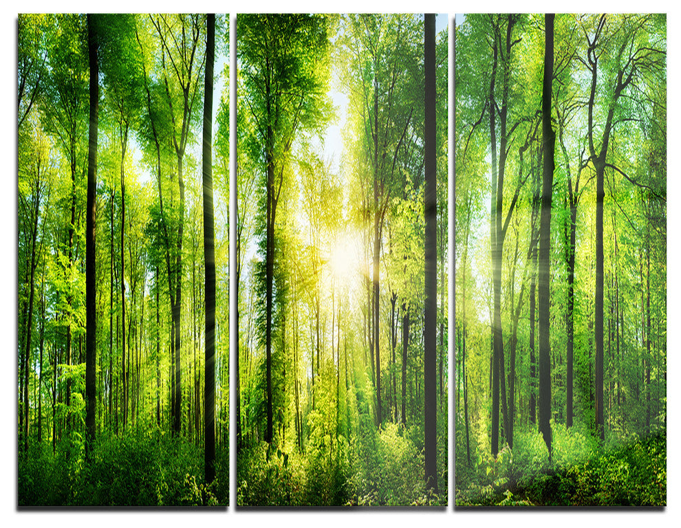 "Forest With Rays of Sun Panorama" Metal Wall Art, 3 Panels, 36"x28"