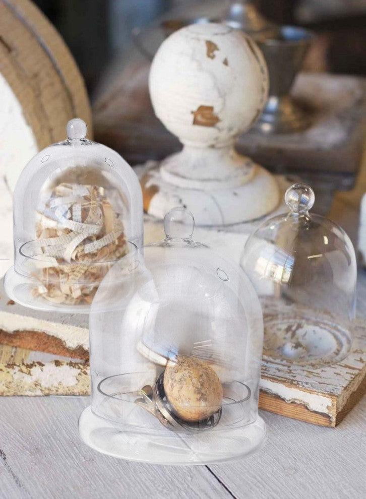 Serene Spaces Living Glass Cloche, Ideal as a Terrarium