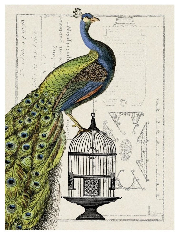 "Peacock Birdcage I" Digital Paper Print by Sue Schlabach, 14"x18"